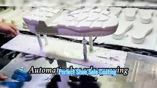 Automatic Shoe Sole Spray Painting Machine Solution